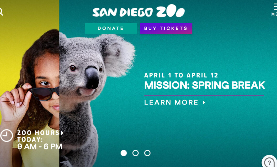 San Diego Wardrobe Stylist | San Diego Zoo Spring Break Shoot