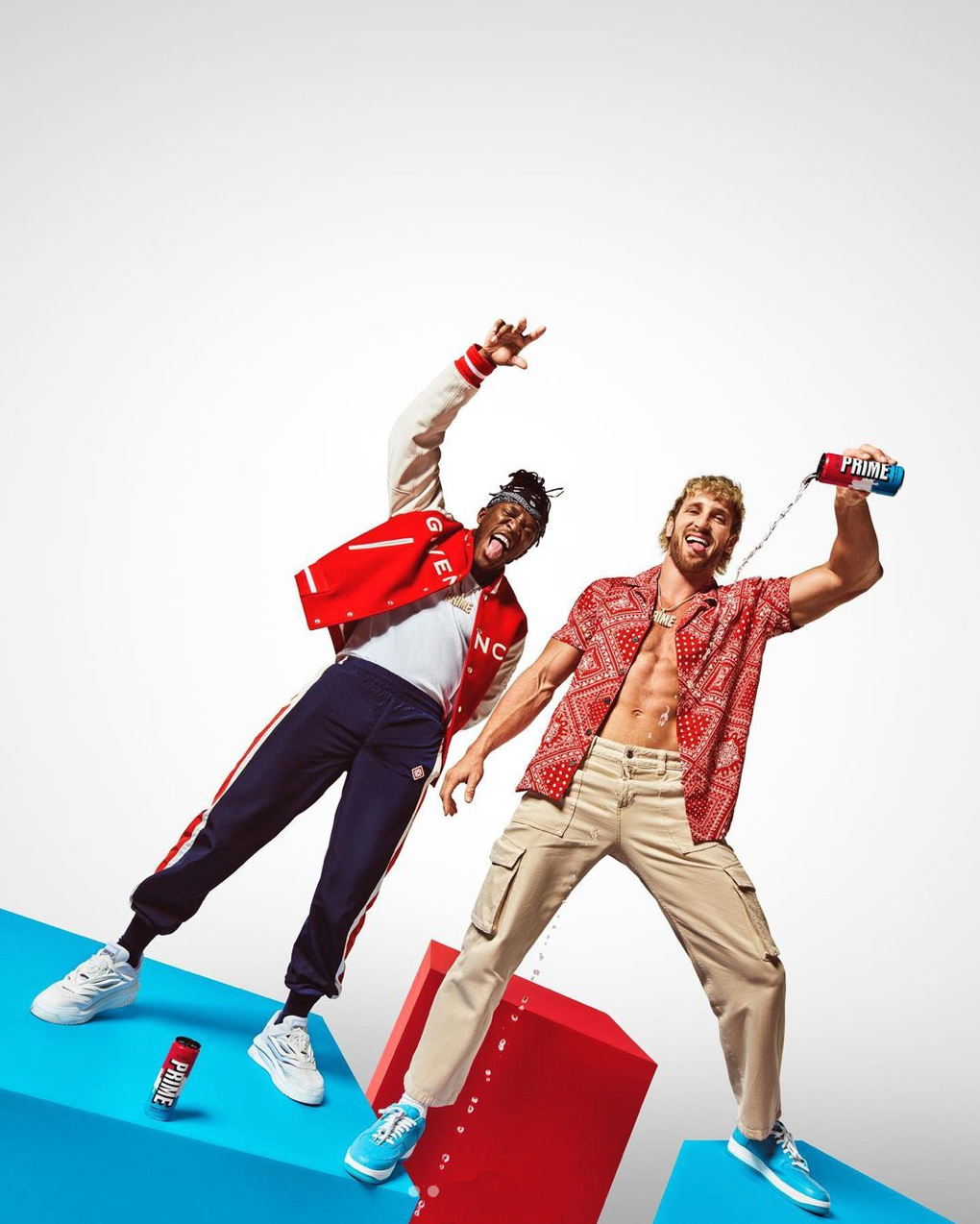 Los Angeles LA celebrity groomer